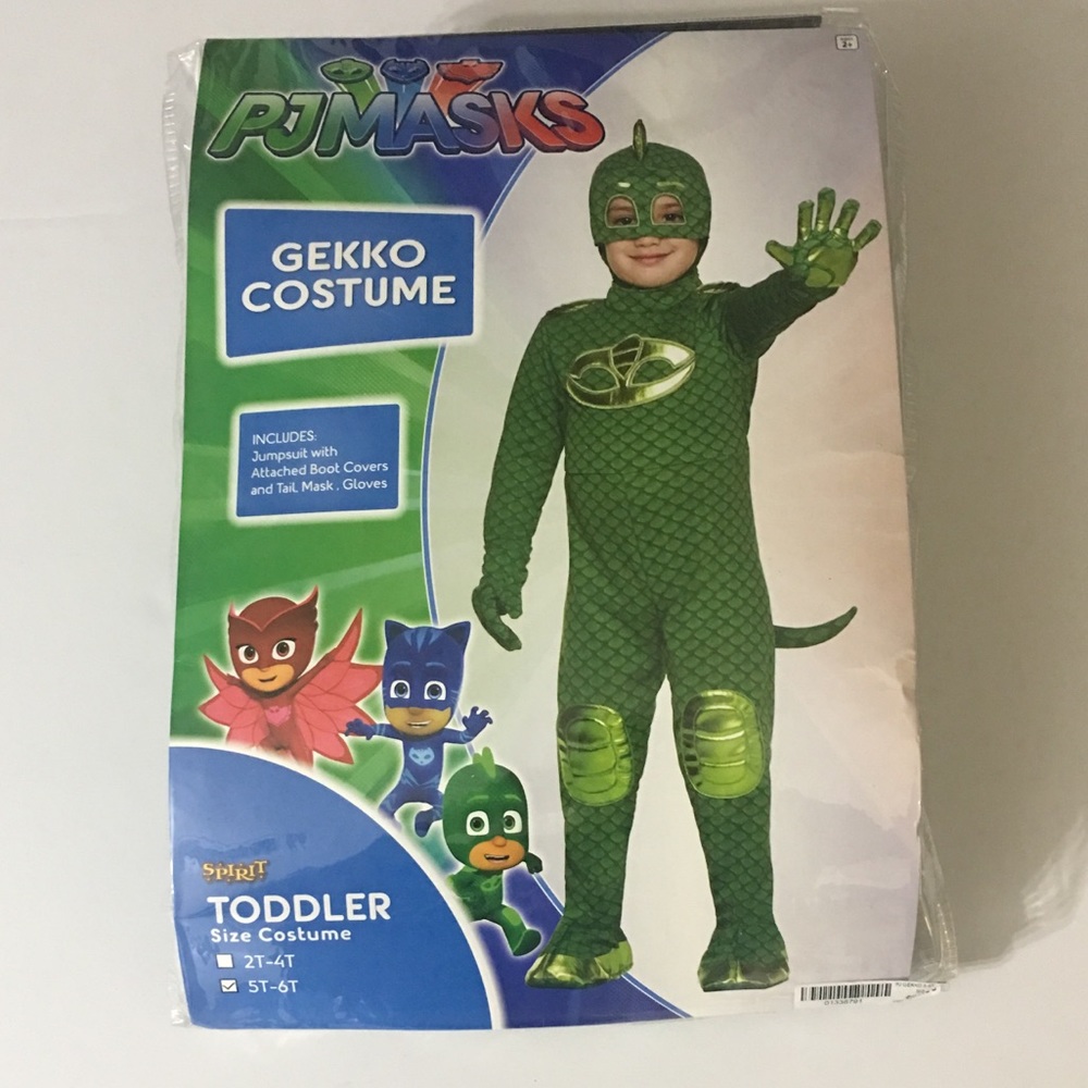 PJ Mask Gecko Costume